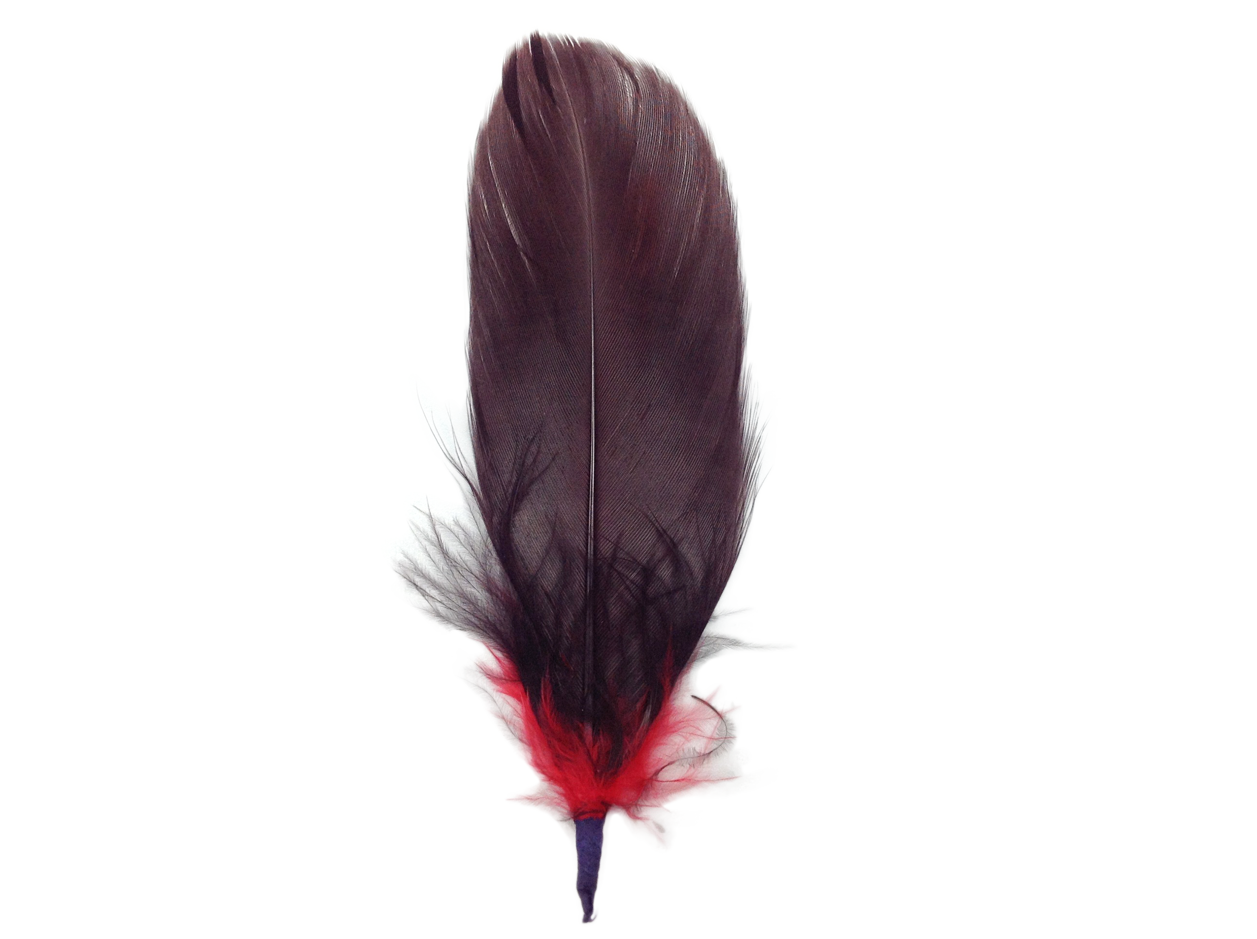 Brown & Red Single Decoration Hat Feather