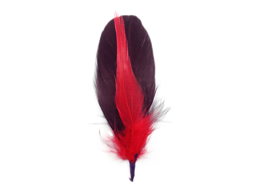 Brown and Red Single Decoration Hat Feather