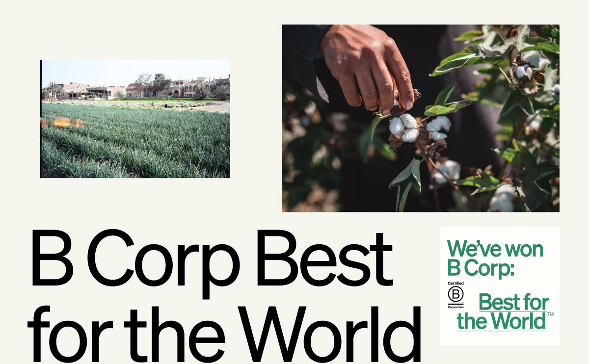 B Corp Best for the World