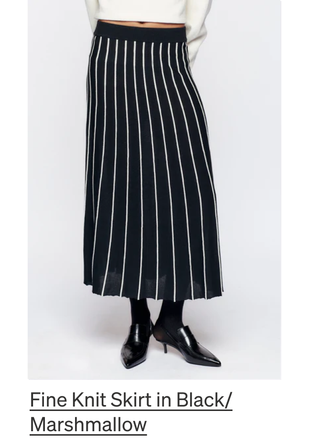 Fine Knit Skirt in Black