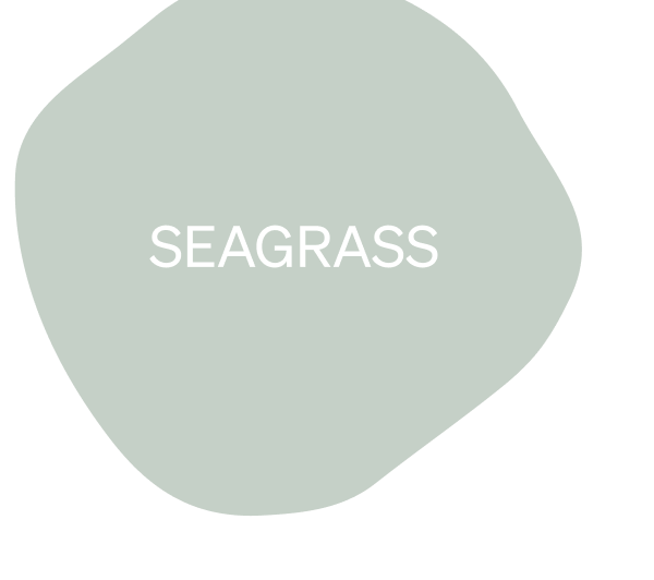 Seagrass