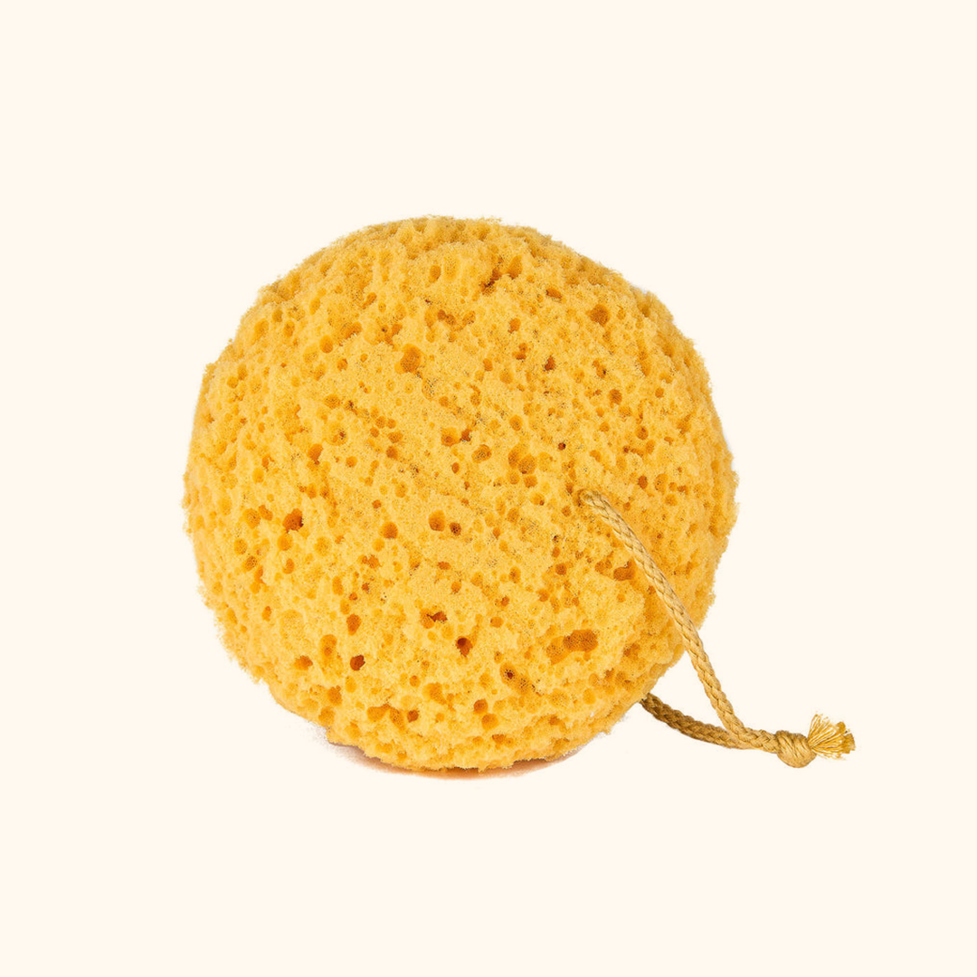 Sea Sponge - HerbN Eden product image