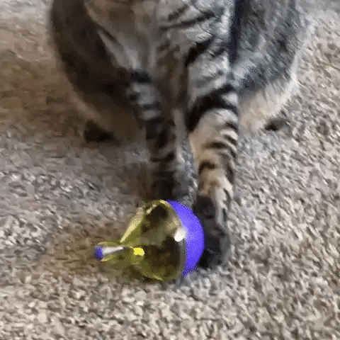 Distributeur Croquettes Pour Chat - La Patte Velue