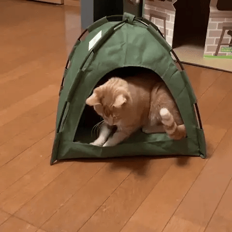 Tente pour Chat - La Patte Velue