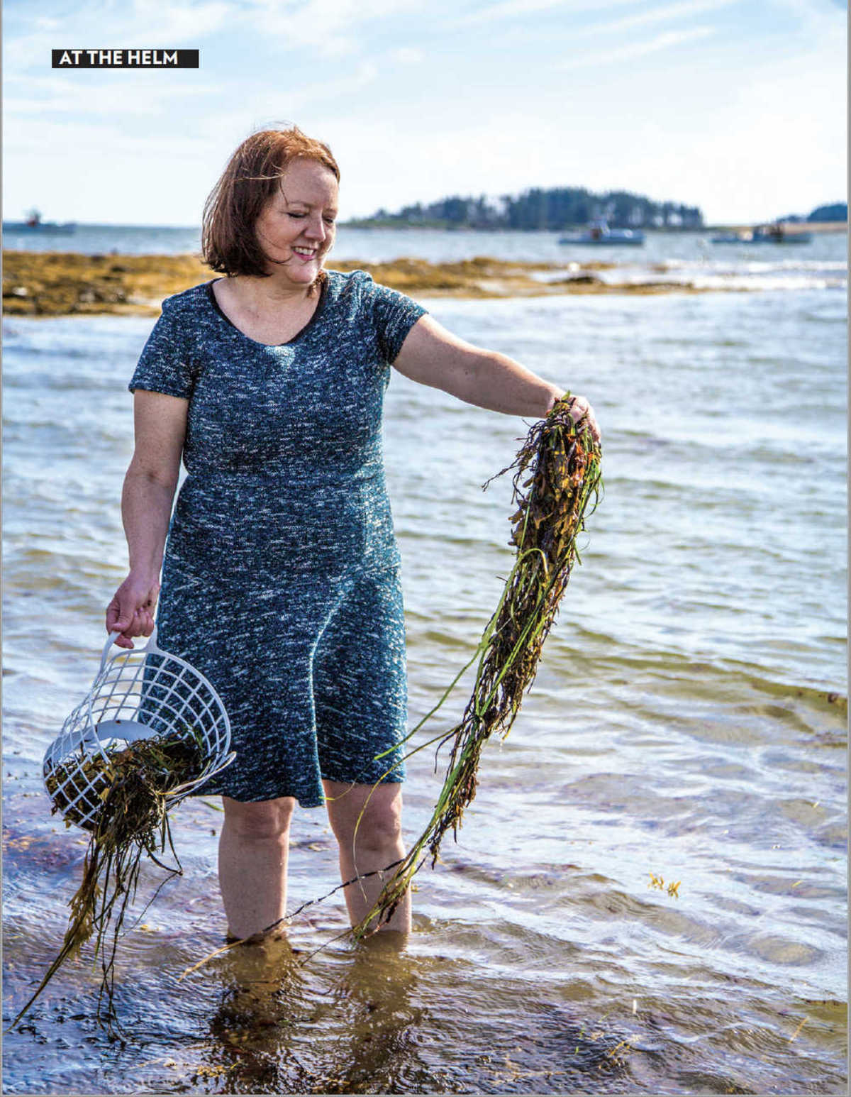 Planet Botanicals Maine Seaweed Skincare