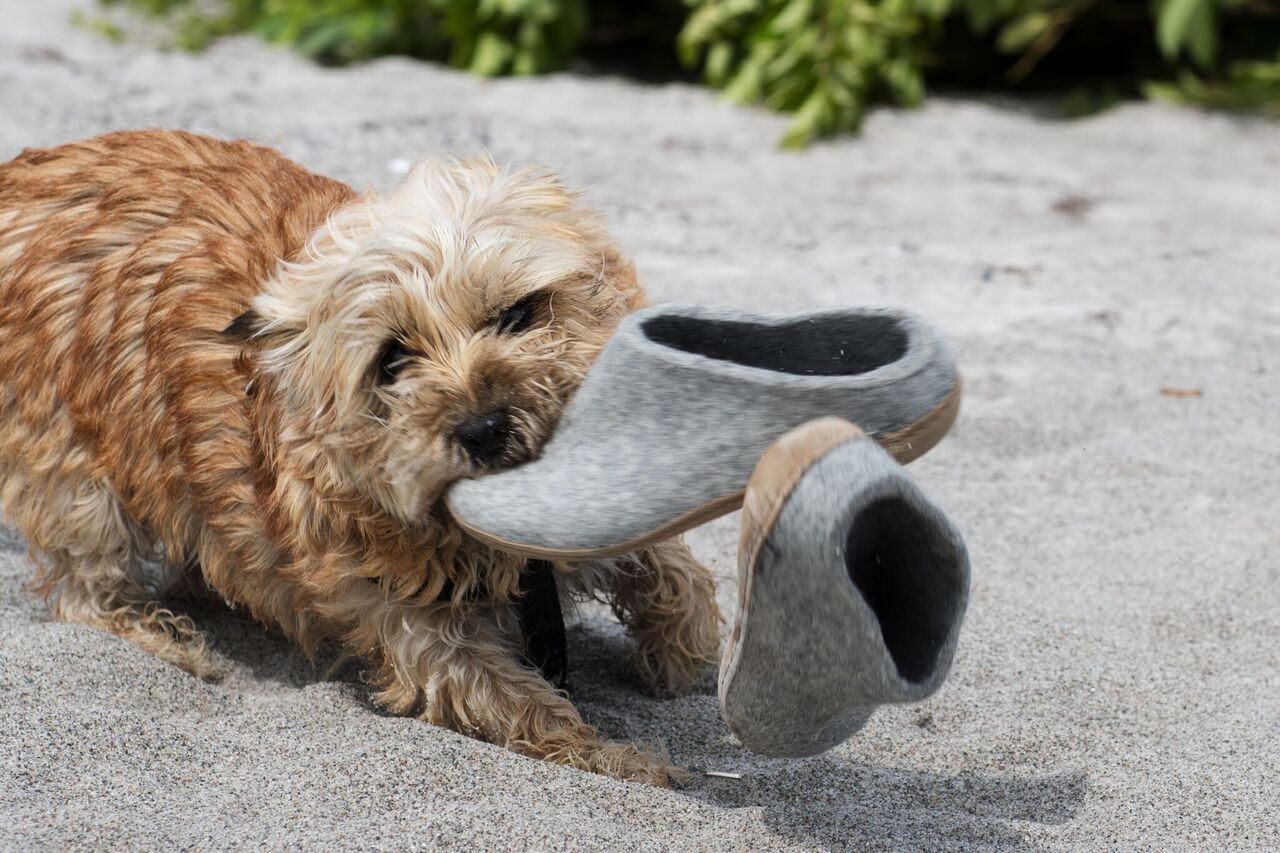 how to clean glerups slippers