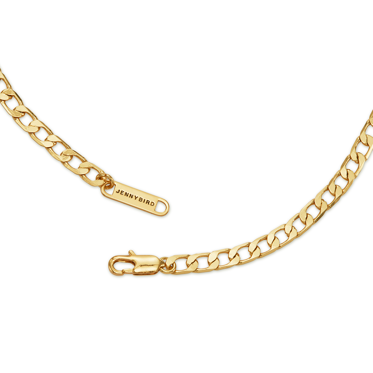 Download Walter Choker flat curb chain necklace in Gold | JENNY BIRD