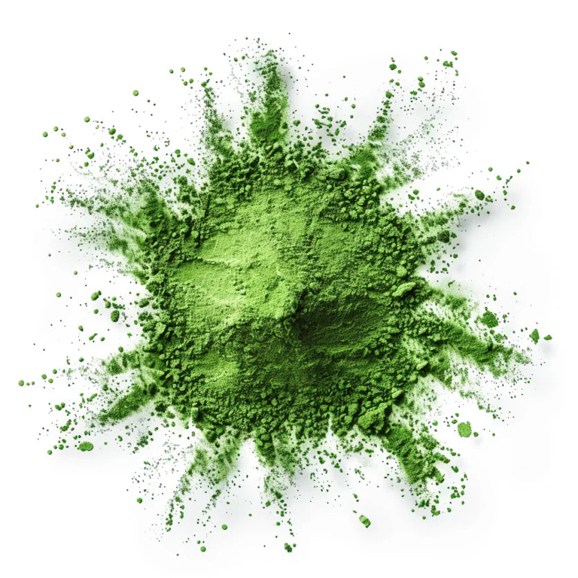 Chlorophyll