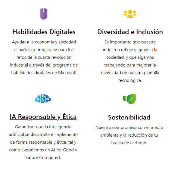 Valores Microsoft Partner Pledge