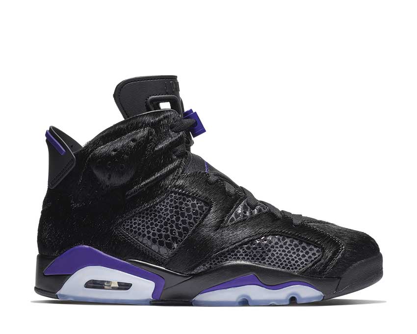 air jordan 6 dark concord