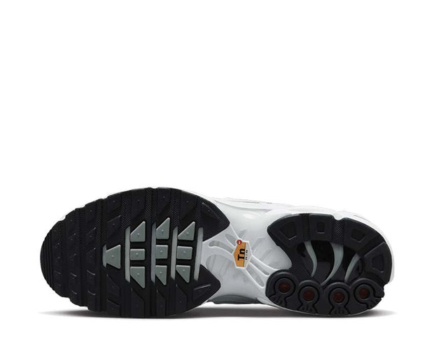 Buy Nike Air Max Plus DZ3670-100 - NOIRFONCE
