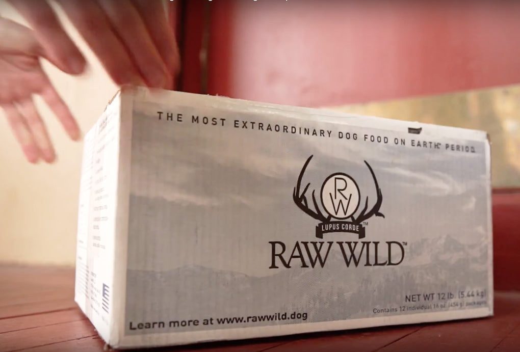 raw food delivery for dogs