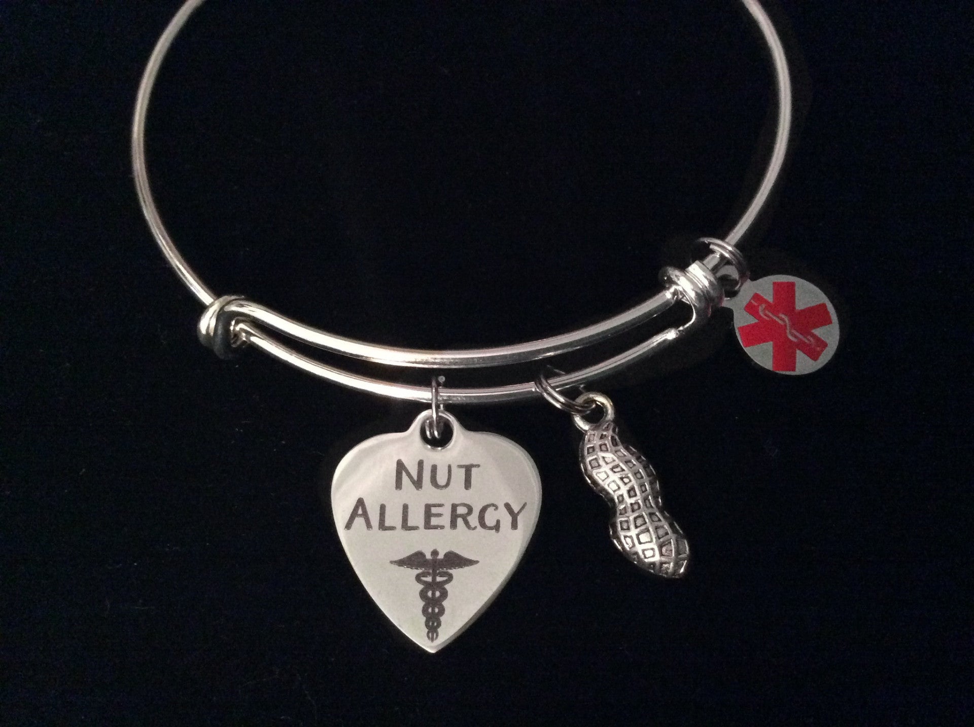 Nut Allergy Medical Alert Expandable Charm Bracelet Silver Adjus
