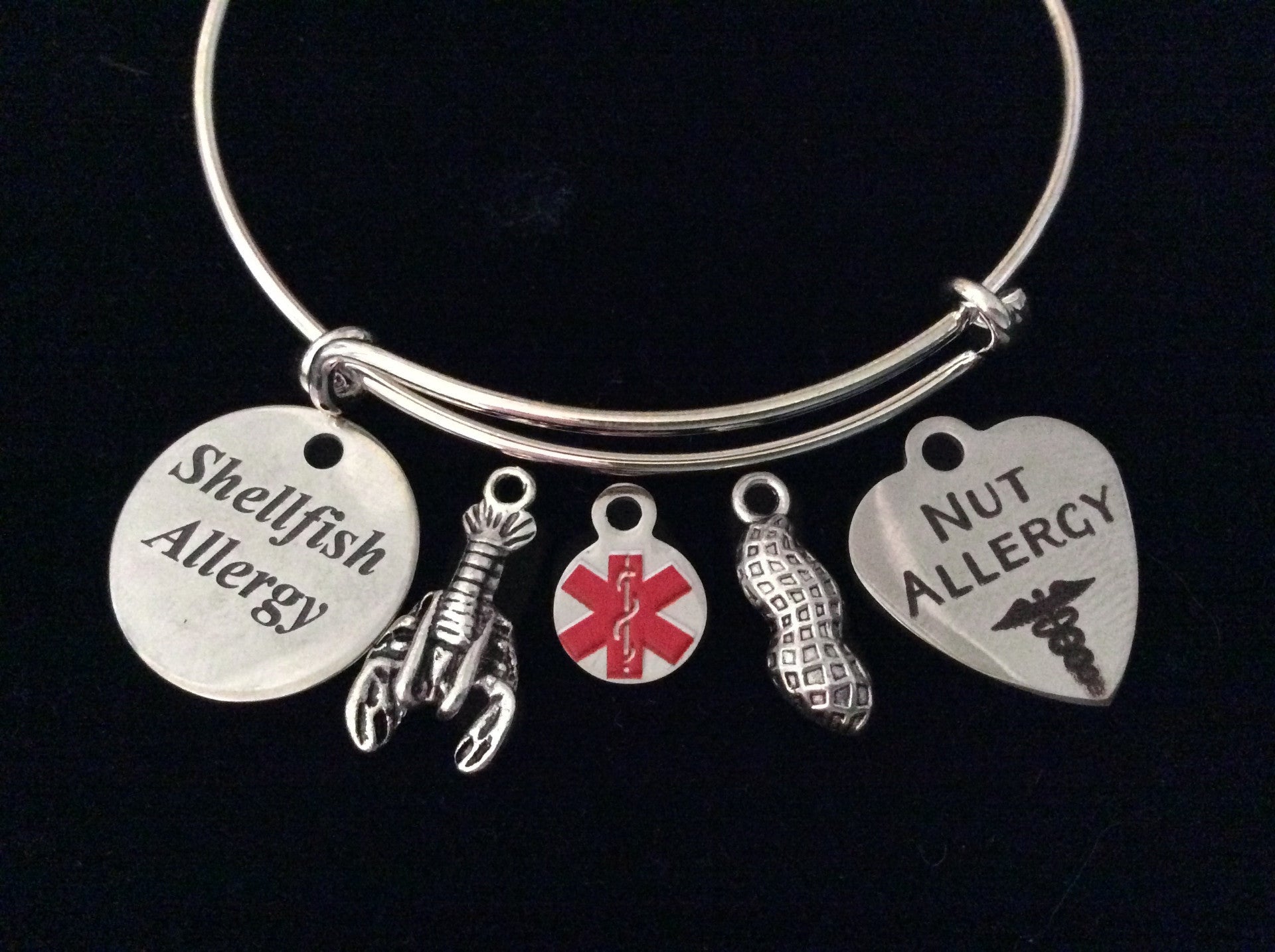 Shellfish and Nut Allergy Medical Alert Expandable Charm Bracelet Silver Adjustable Bangle Gift