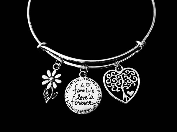 A Families Love is Forever Expandable Silver Charm Bracelet