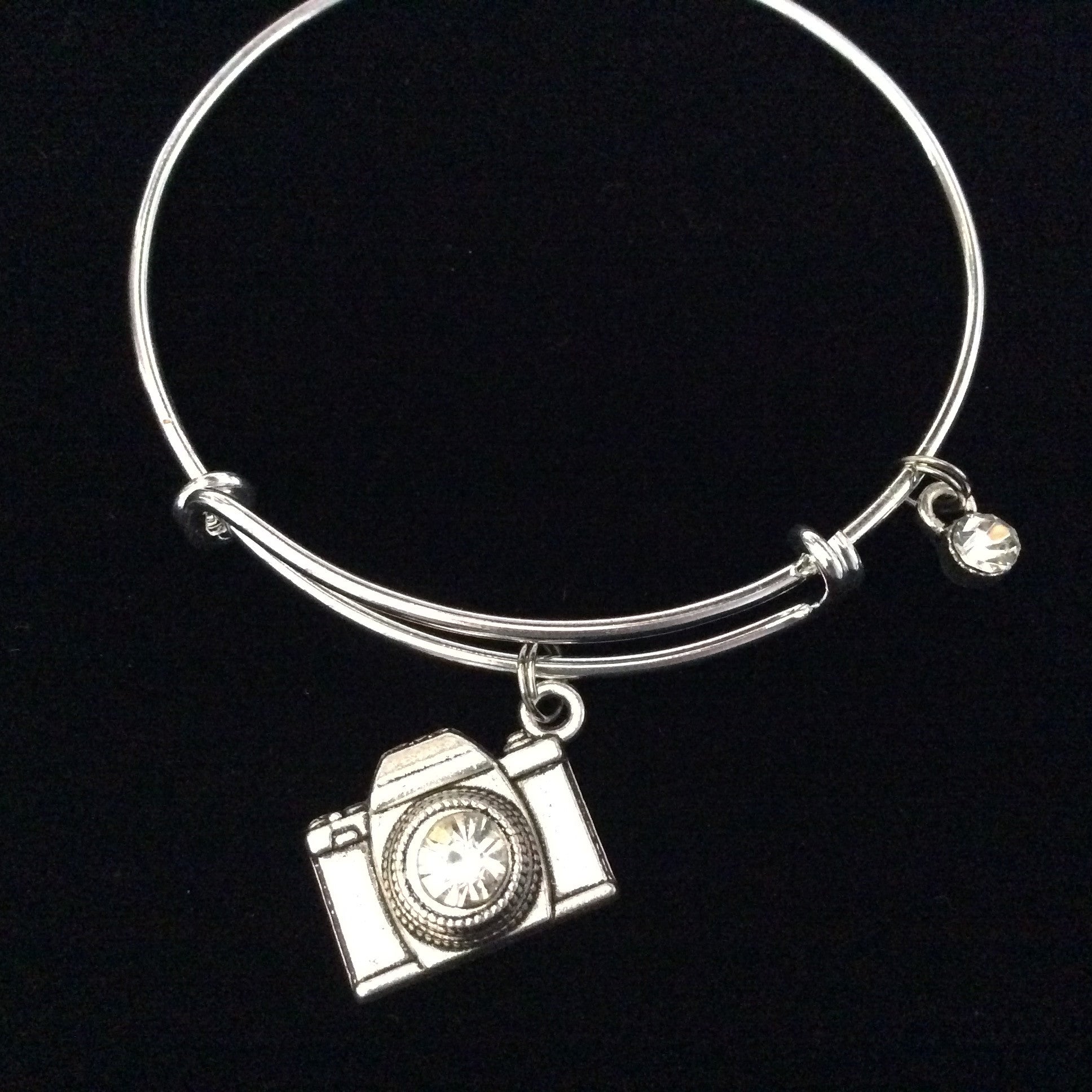 Pandora 925 Silver Charm Bracelet with 11 Charms Chicken Camera Daughter  Turtle | eBay