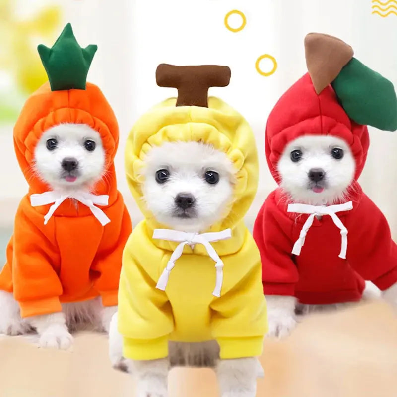 Cute AndCozy Costumes For Pet - Image 3