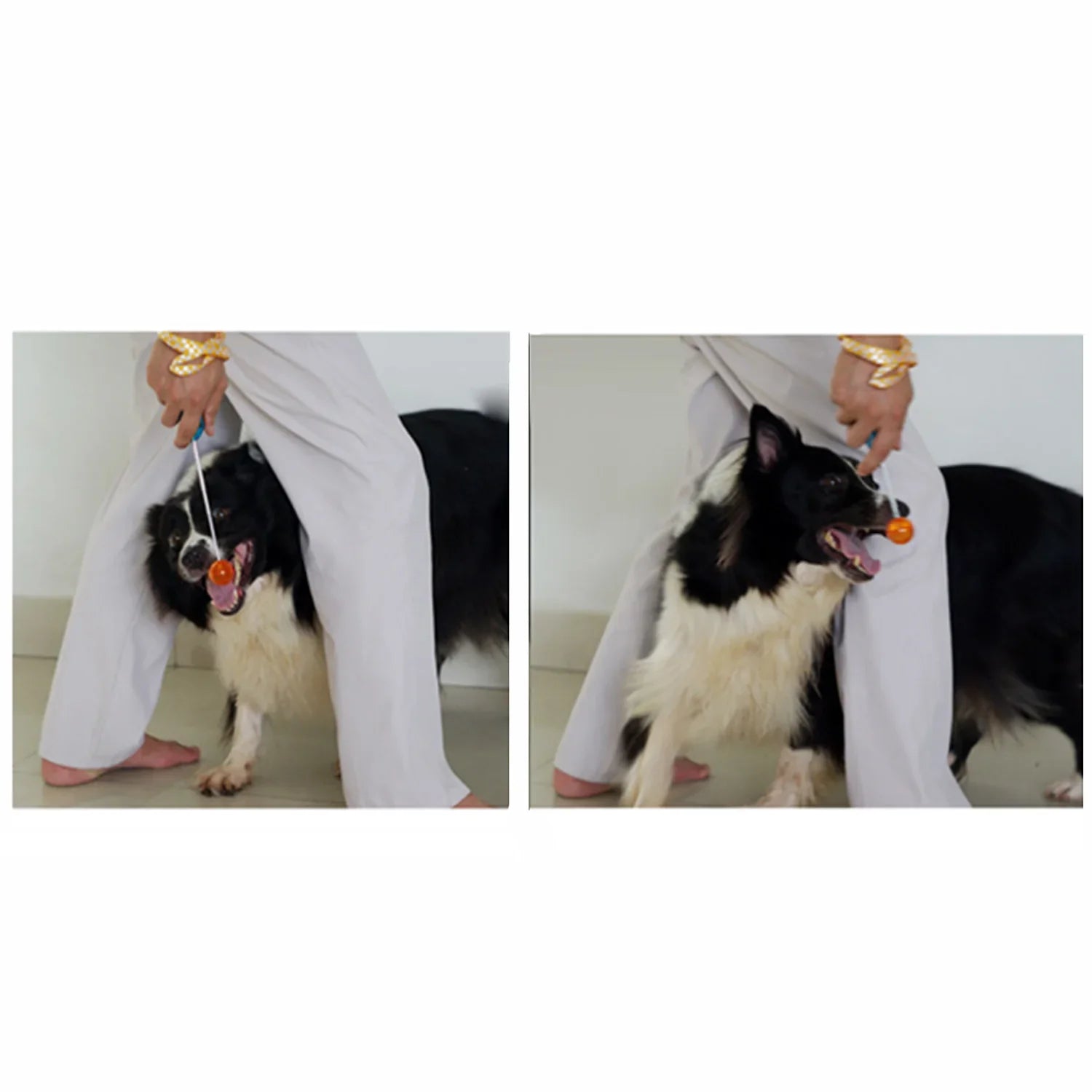 Pet Training Clicker - Novelty Stretchable Design - Image 4