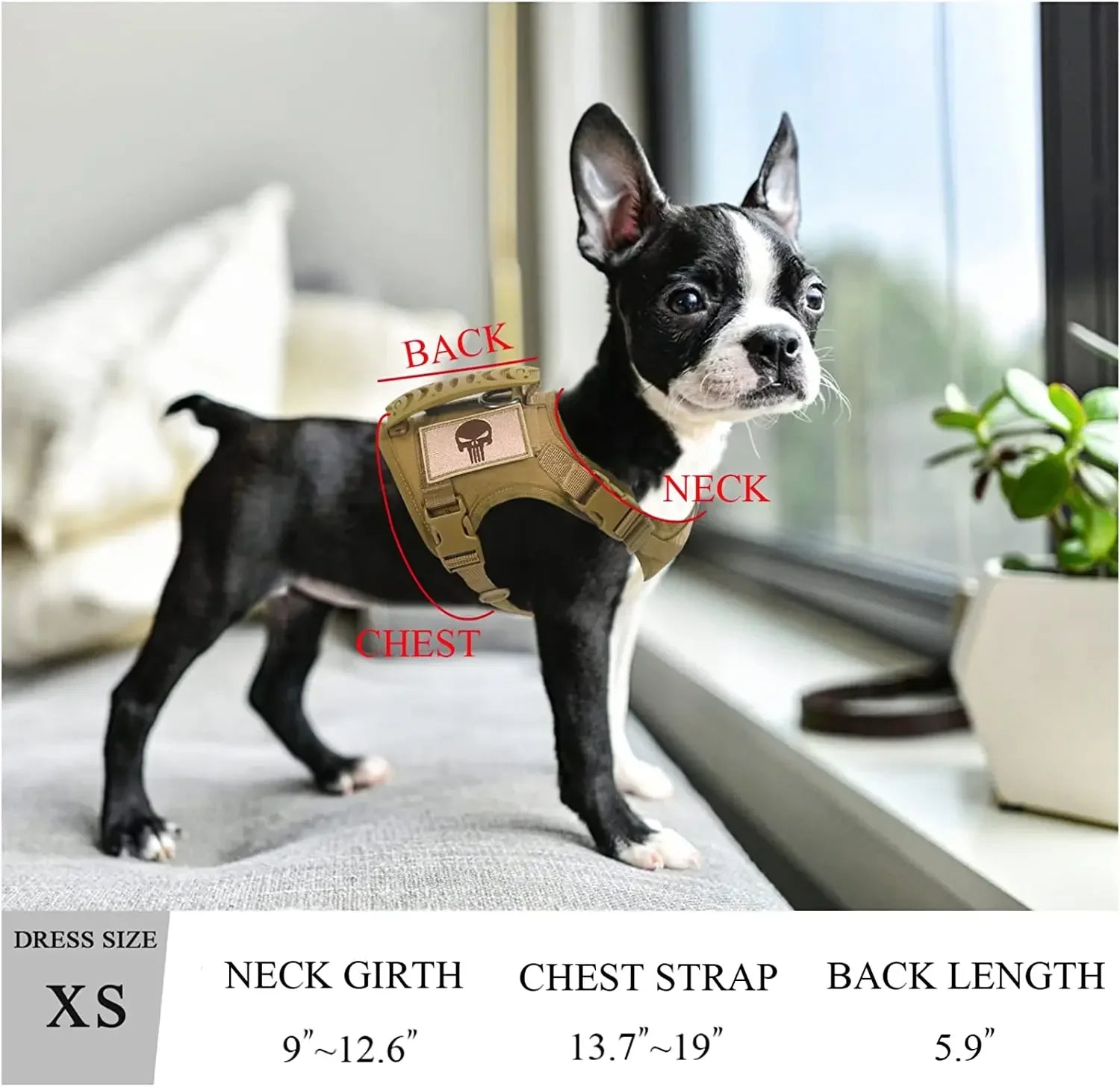 Adjustable Tactical Vest for Small Dogs - Image 8
