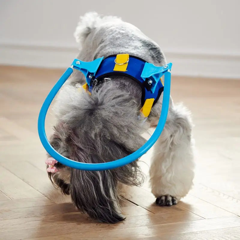 Blind Pet Anti-Collision Collar - Image 3