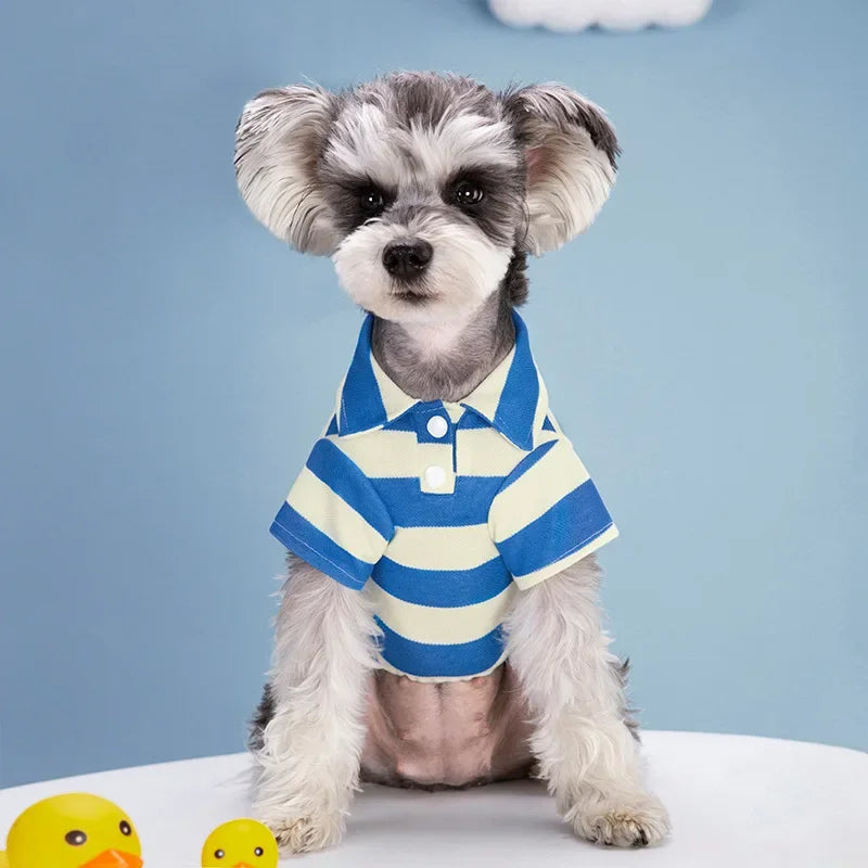 Striped Polo Shirt for Small to Medium Dogs - Image 7