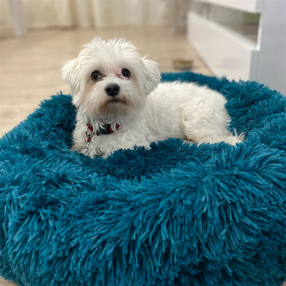 Super Soft Long Plush Dog Bed - Image 27