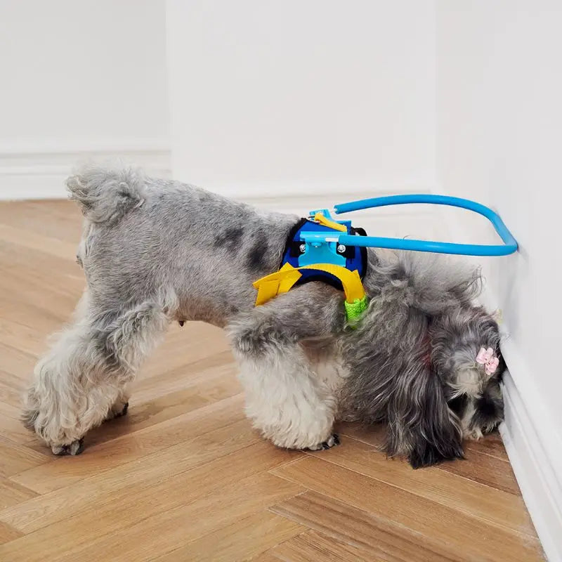 Blind Pet Anti-Collision Collar - Image 5