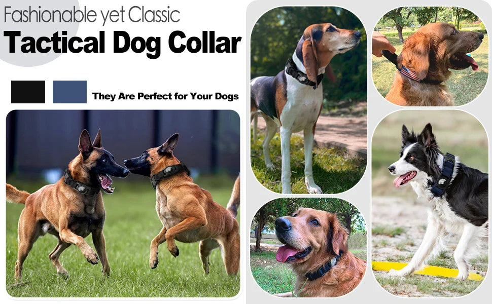 AirTag Dog Collar with Handle, Tactical Dog Collar for Large Medium Dogs - Image 10