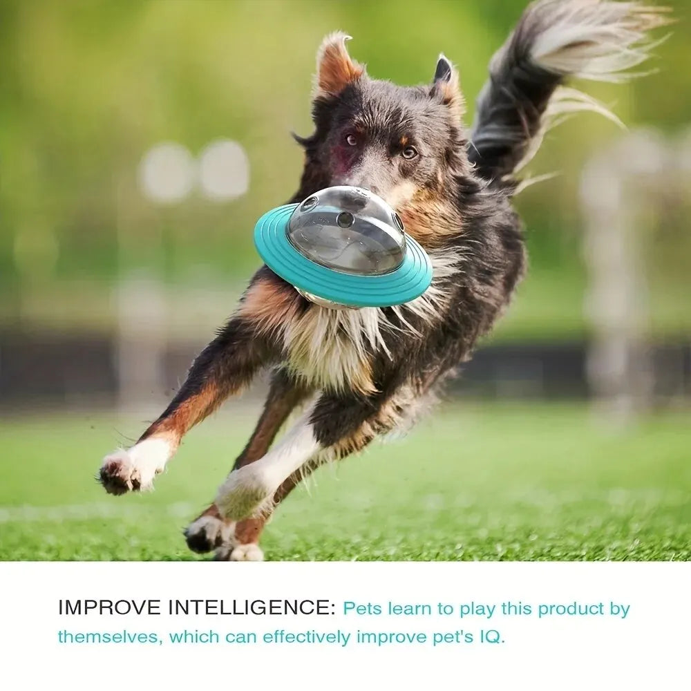 Dog Food Storage Toy - Image 9