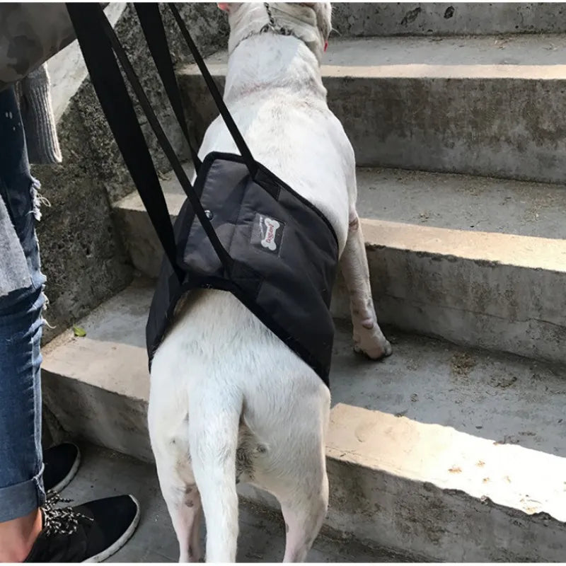 Portable Dog Sling Hip Support Harness for Rehabilitation - Image 6