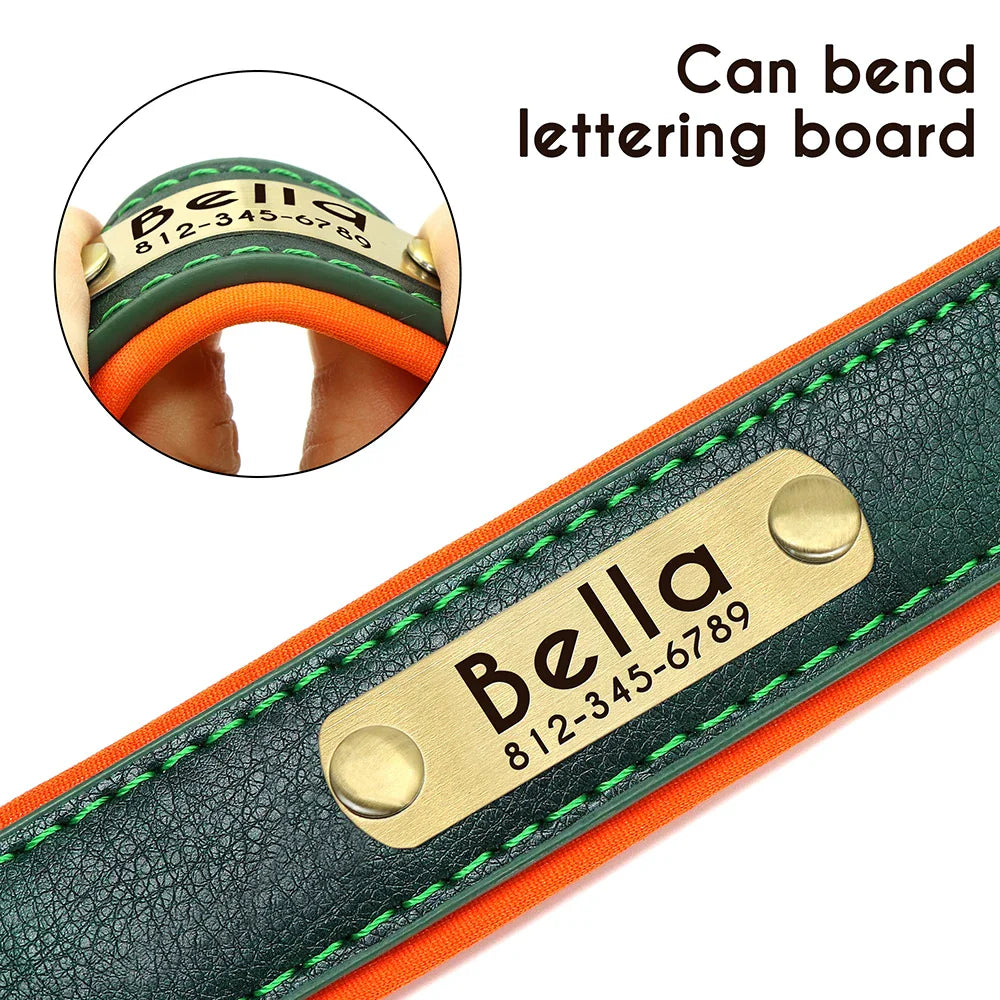 Customized Leather ID Nameplate Dog Collar - Image 3