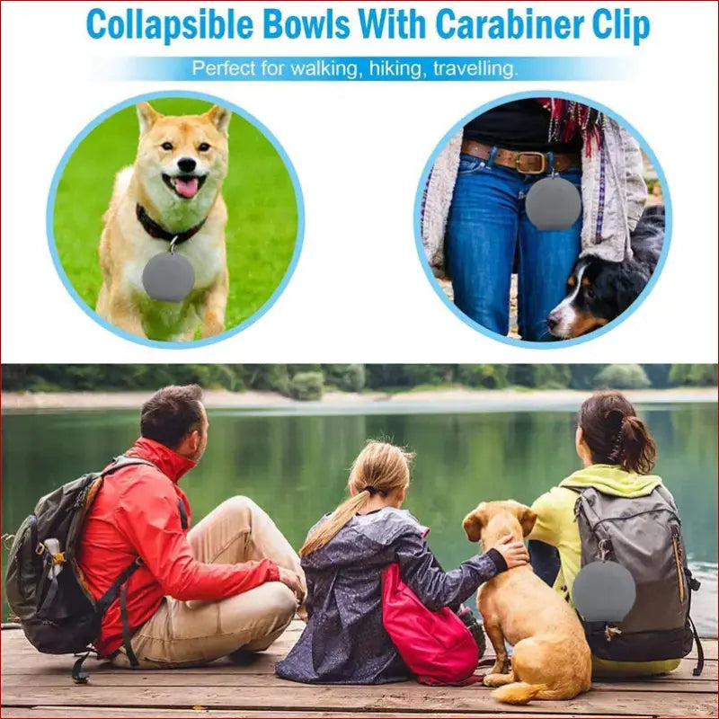Double Collapsible Pet Bowls | Food and Water Feeding Solution - Image 8