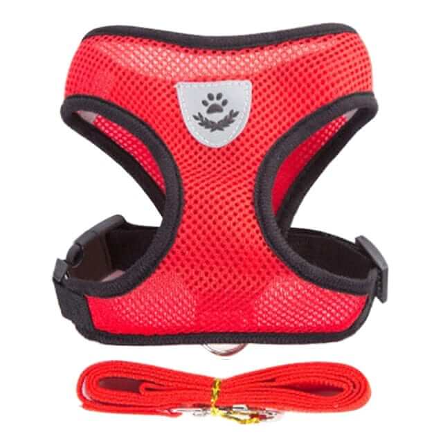 Dog Harness with Leash - Image 6