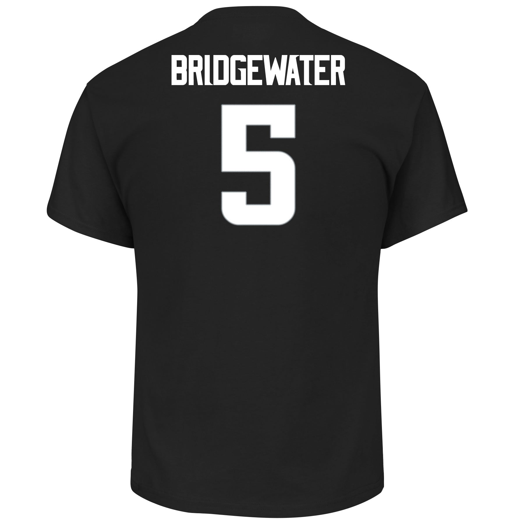 bridgewater vikings jersey