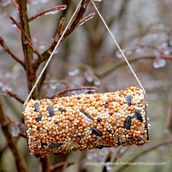 bird feeder