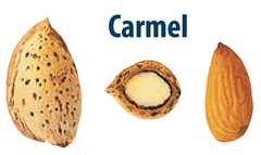 carmel_almond