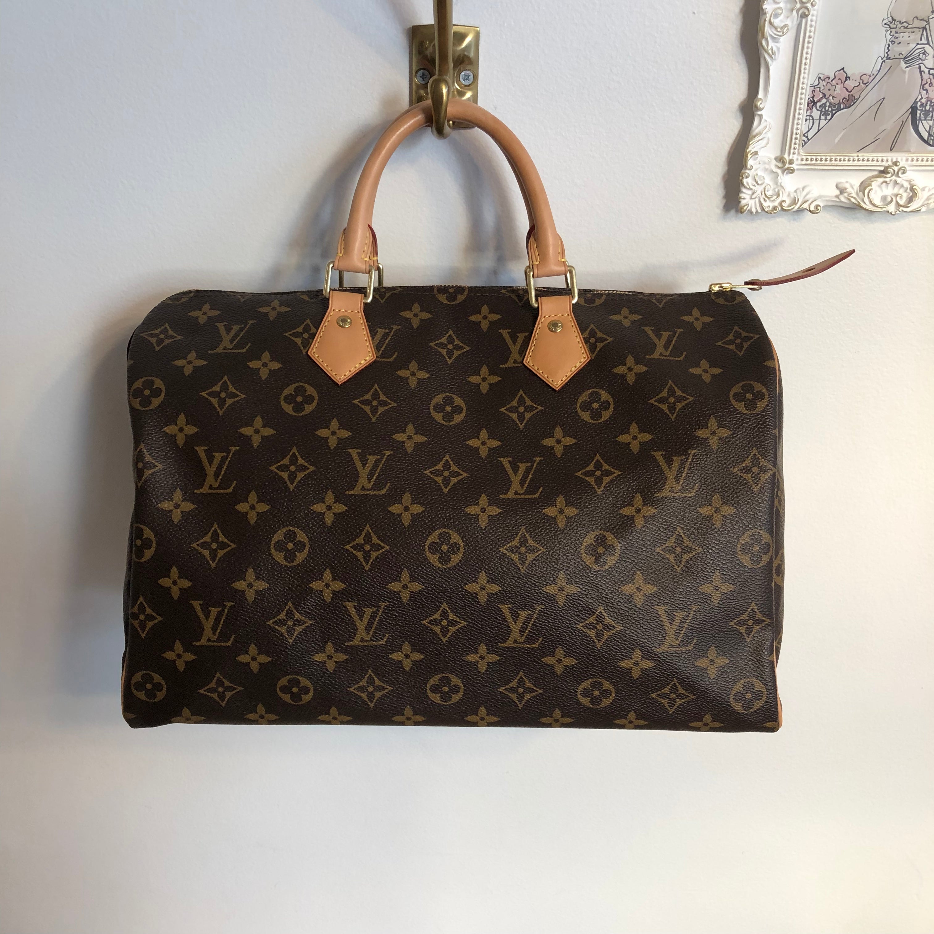 Speedy cloth handbag Louis Vuitton Brown in Cloth  31479842