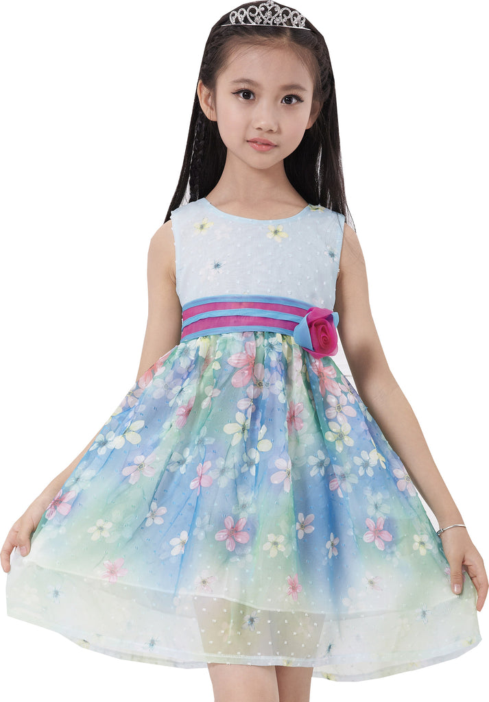 Girls Dress A-line Flower Detailing Rose Striped Princess Blue – Sunny ...