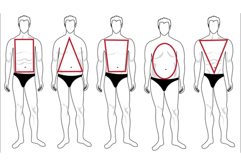 the body types for suits