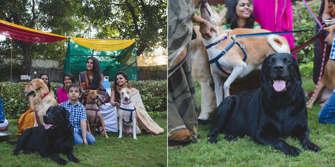 Lessons from a Vegan, Pet-Friendly Wedding