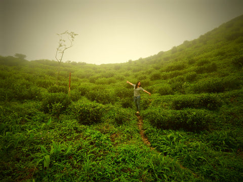 7 Scenic and Little-Known Tea Towns of India