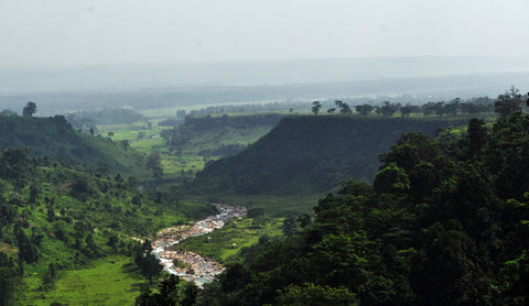 7 Scenic and Little-Known Tea Towns of India