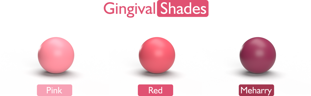 Gingival Shades