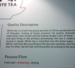 White tea at the Hunan Tea Museum