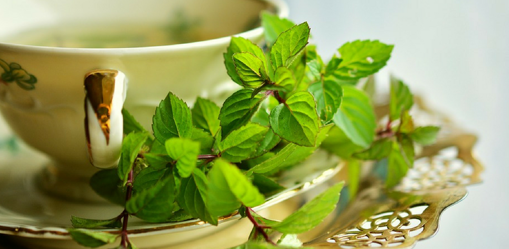 Pepppermint Tea