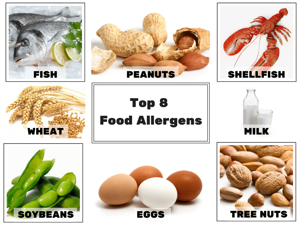 The 8 major allergens identified by the FDA