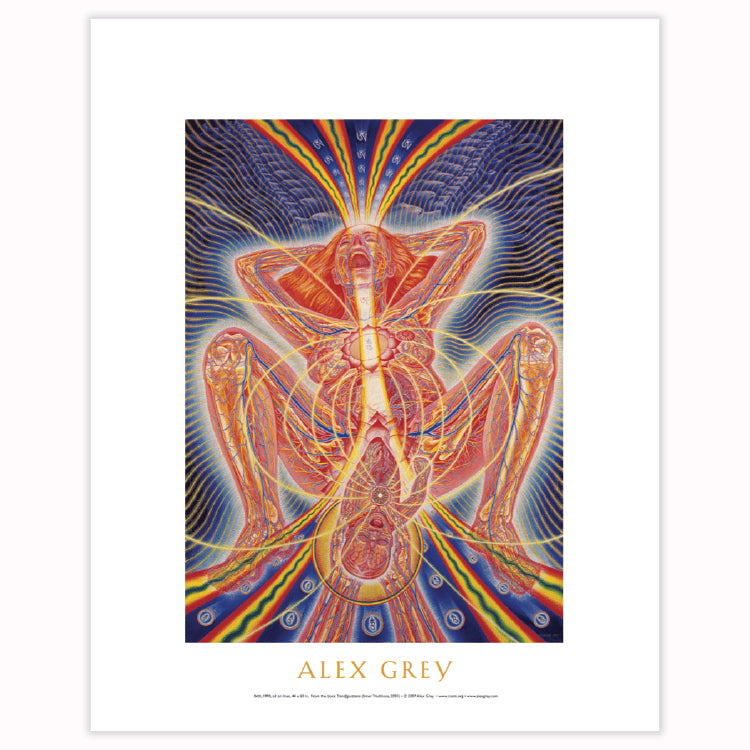 ill communication alex grey