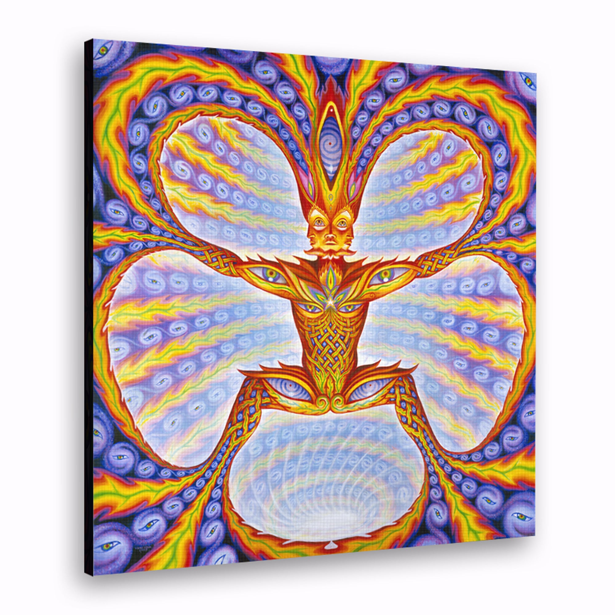 Cosmic Elf - Canvas Print