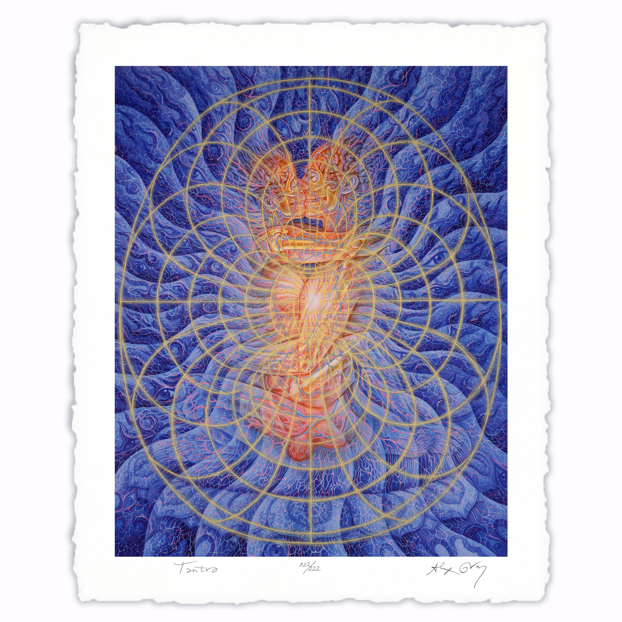 Alex Grey - Come to yoga this evening with Emily Rose Yoga and music by,  Peter! Class begins at 7:30 pm in the Grey House Library. SIGN UP:   Featured art: Vision