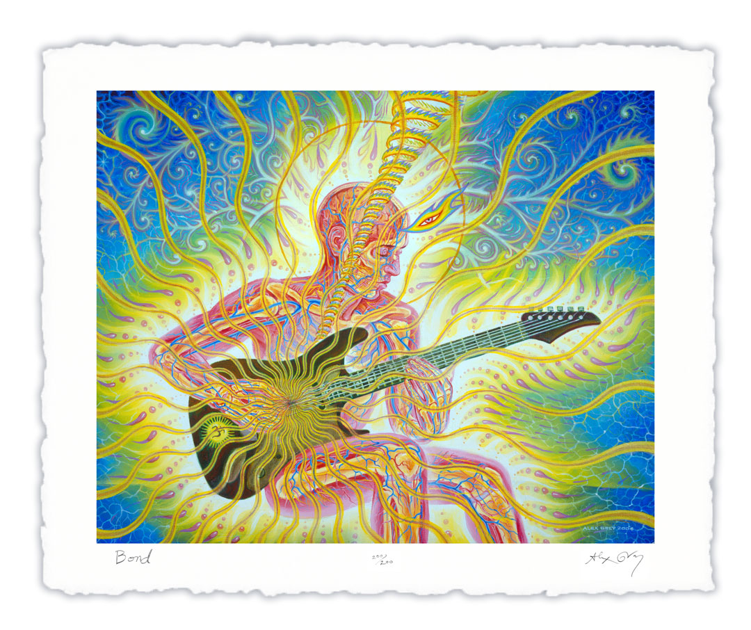 Alex grey clearance tool art